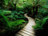 test_variants_51 - marketplacetest-4
 - 7