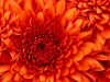 Single test - marketplacetest-4
 - 1