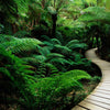 test big img2 by admin - marketplacetest-4
 - 2